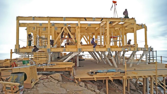 PEA_wood_structure