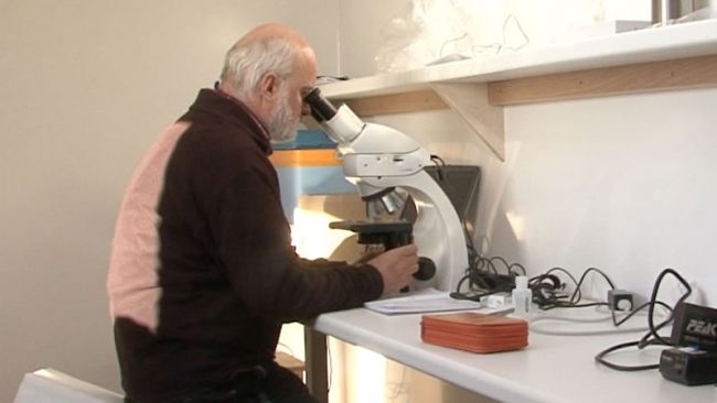 PEA_scientific_lab