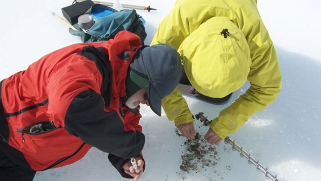 BELDIVA: Microbiology in Antarctica