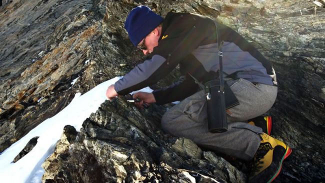 BGR: Investigating Gondwana Formation