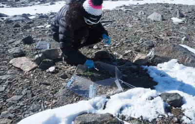 Dr Valentina Savaglia from the University from the University of Sevilla samples microbes from open top chambers for the BELSPO-sponsored ExPoSoils project