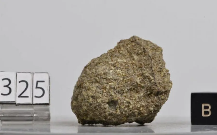 Martian meteorite