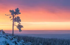 Arctic Futures Symposium Returns for 9th Edition