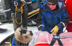 Keeping safe and secure in Antarctica
