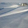 PEA in snow