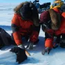 Scientists Working at Princess Elisabeth Antarctica Discover 18kg Meteorite