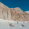 Alain in the field