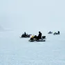 Scientists from the ULTIMO project in the field