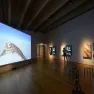 Part of the contemporary portion of the MAS exhbition 'To the Antarctic'. 