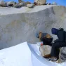 MICROBIAN: The tiny life forms of Antarctica’s Sør Rondane Mountains