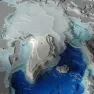 Educational Arctic and Antarctic 3D puzzles