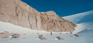 Alain in the field