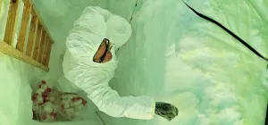 Sarah Wauthy sampling snow in a trench for the PASPARTOUT project